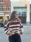 Evi trui